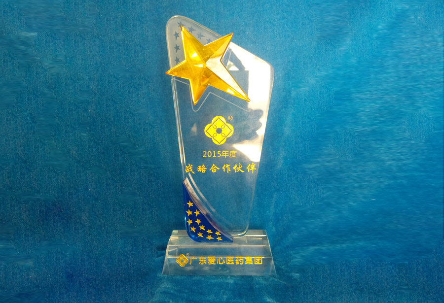 2015年度戰(zhàn)略合作伙伴